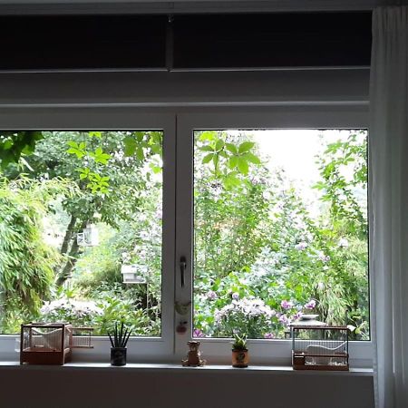 Ferienwohnung Hering In Dill Eksteriør billede