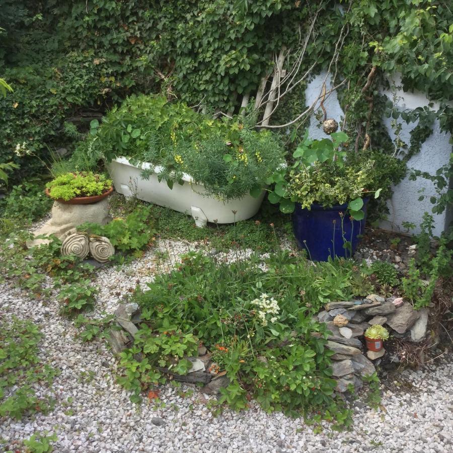 Ferienwohnung Hering In Dill Eksteriør billede