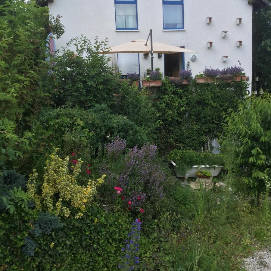 Ferienwohnung Hering In Dill Eksteriør billede