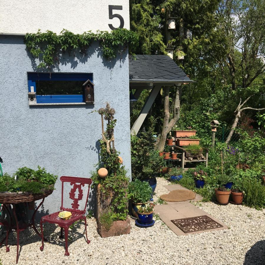 Ferienwohnung Hering In Dill Eksteriør billede