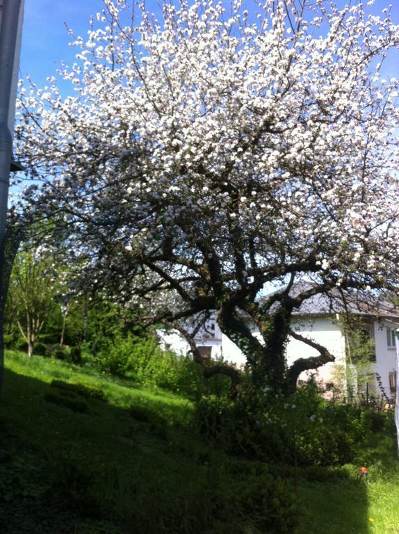 Ferienwohnung Hering In Dill Værelse billede