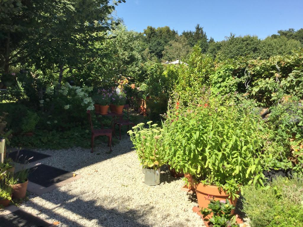 Ferienwohnung Hering In Dill Eksteriør billede