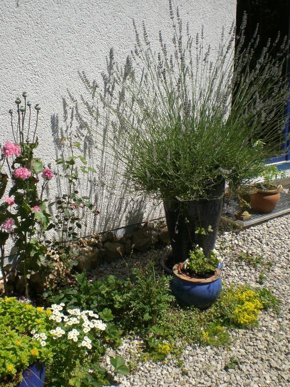 Ferienwohnung Hering In Dill Værelse billede
